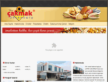 Tablet Screenshot of cakmakkuruyemis.com